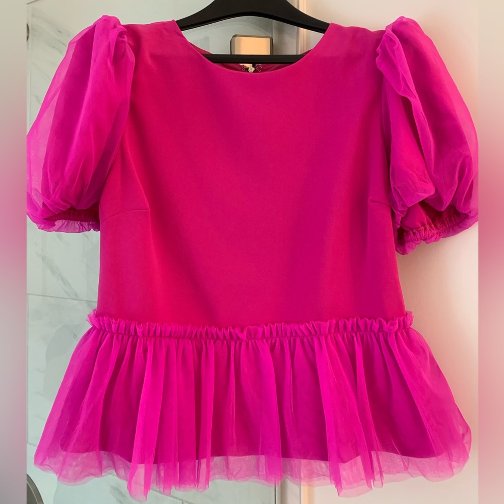 💖TCEC Magenta Hot Pink Mesh Ruffle Top Large NWT